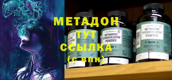 индика Кострома