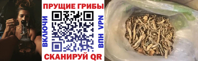 мега tor  Чаплыгин  Псилоцибиновые грибы ЛСД 